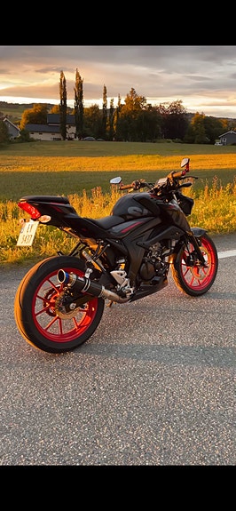 Suzuki GSX-S 125 12 of 13