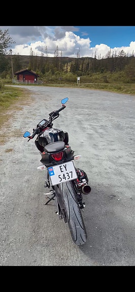 Suzuki GSX-S 125 10 of 13