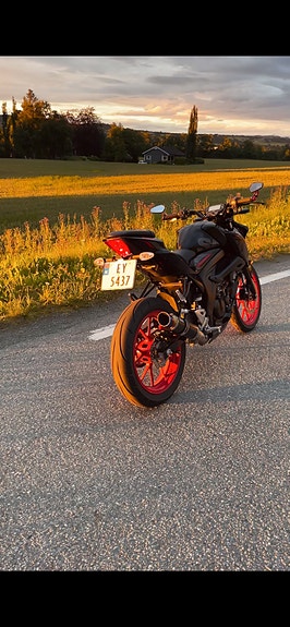 Suzuki GSX-S 125 8 of 13