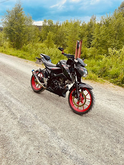 Suzuki GSX-S 125 3 of 13