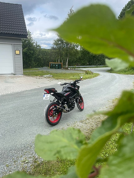 Suzuki GSX-S 125 13 of 13