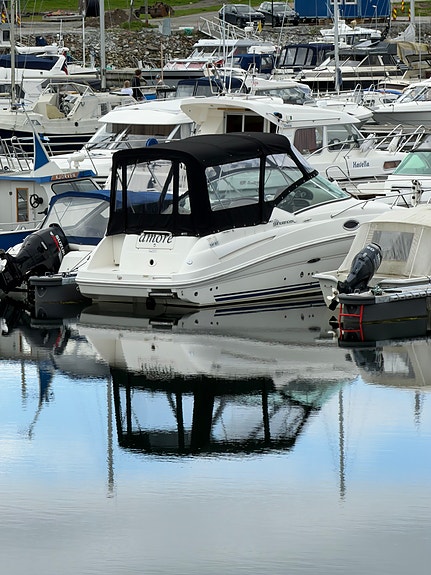 Searay 240, 2007, 340 timer 3 of 30