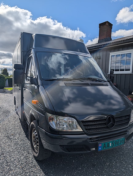 Mercedes-Benz Sprinter 308 17 of 30