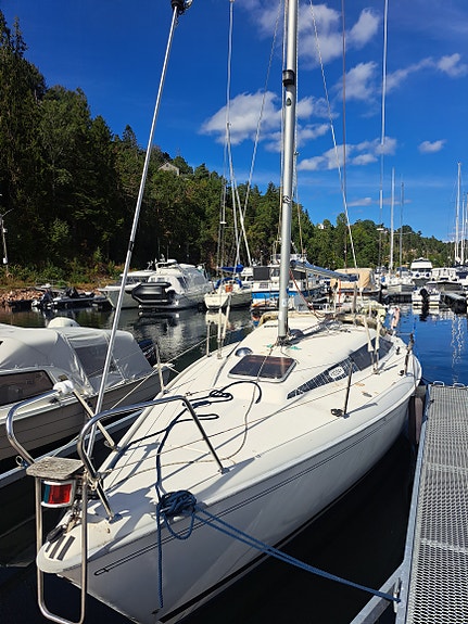 Maxi Fenix fixer-upper 2 of 30