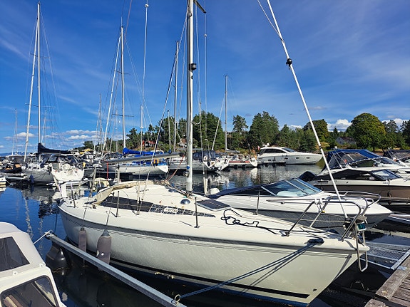 Maxi Fenix fixer-upper 4 of 30