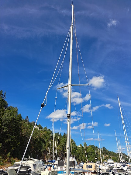 Maxi Fenix fixer-upper 3 of 30