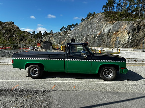 Chevrolet C10 6 of 30