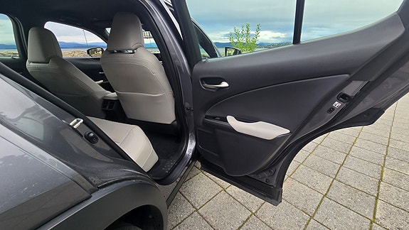 Lexus UX300e 23 of 30