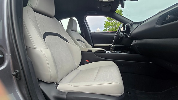Lexus UX300e 20 of 30