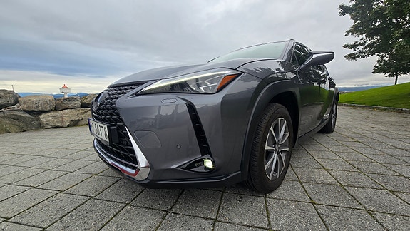 Lexus UX300e 6 of 30