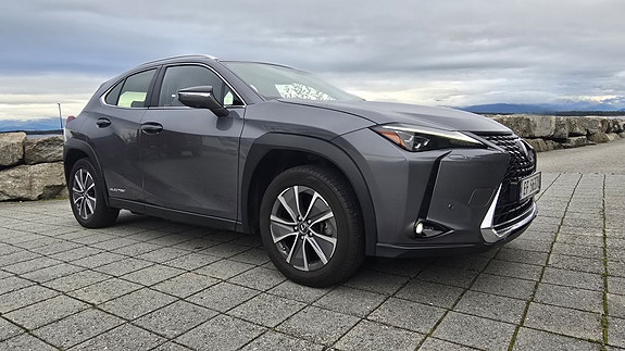 Lexus UX300e 7 of 30
