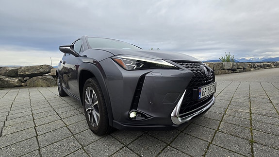 Lexus UX300e 8 of 30