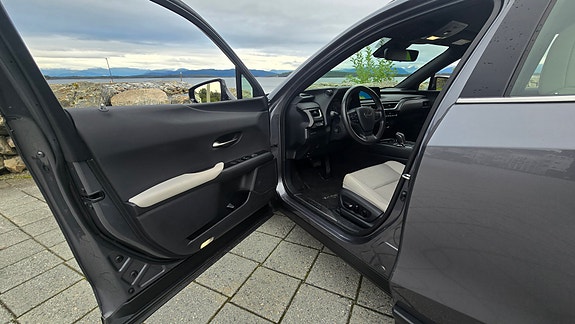 Lexus UX300e 25 of 30