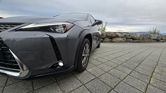 Lexus UX300e 10 of 30