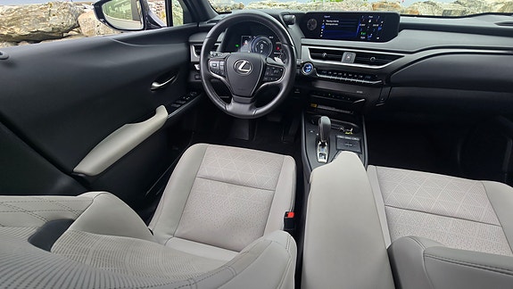 Lexus UX300e 17 of 30