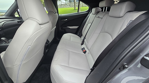 Lexus UX300e 22 of 30