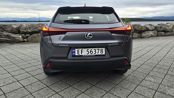 Lexus UX300e 14 of 30