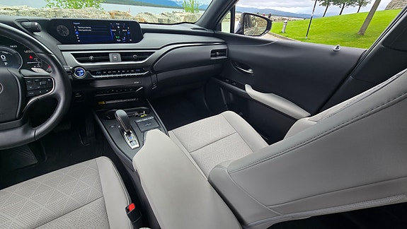 Lexus UX300e 16 of 30
