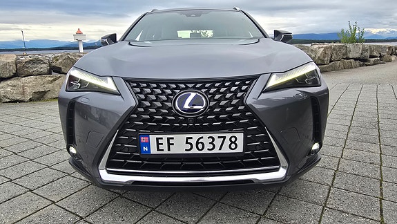 Lexus UX300e 2 of 30