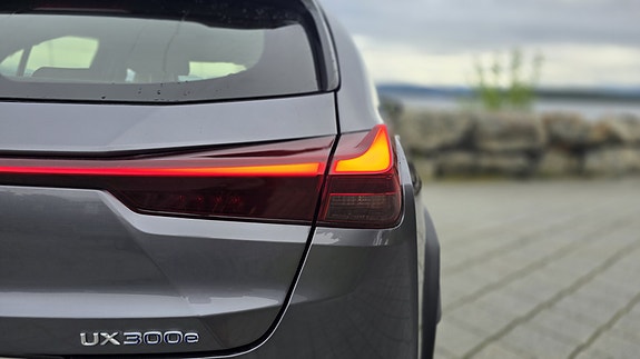 Lexus UX300e 13 of 30