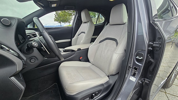 Lexus UX300e 19 of 30