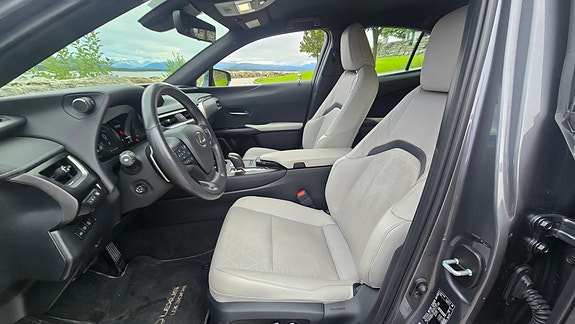 Lexus UX300e 15 of 30