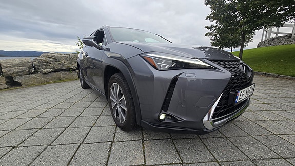 Lexus UX300e 9 of 30