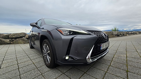 Lexus UX300e 5 of 30