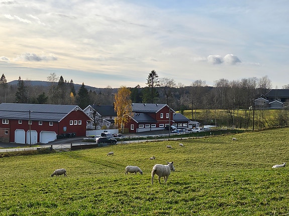 Bilde fra arbeidsgiver