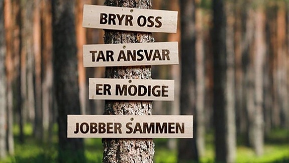 Bilde 1 av 4 i jobbannonse-galleriet