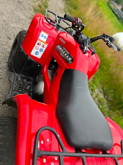 Yamaha Grizzly 300 16 of 16