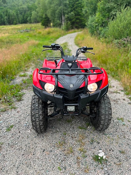 Yamaha Grizzly 300 6 of 16