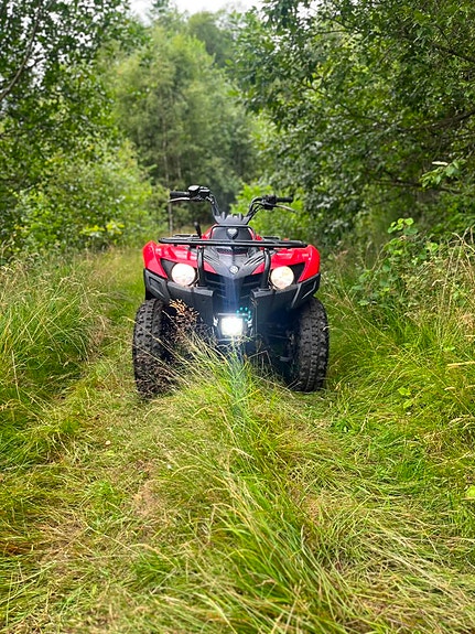 Yamaha Grizzly 300 5 of 16