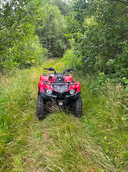 Yamaha Grizzly 300 9 of 16