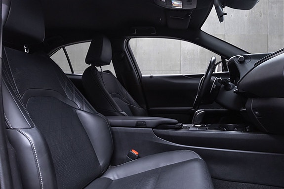 Lexus UX300e 27 of 29