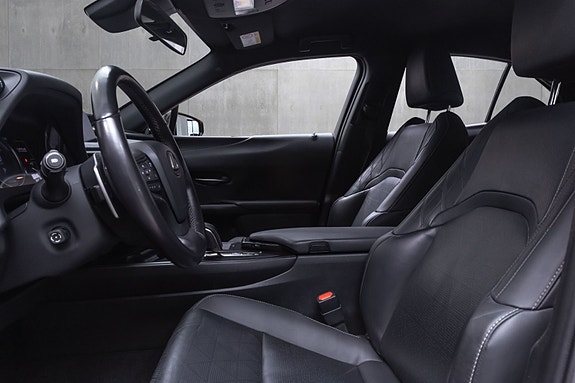 Lexus UX300e 21 of 29