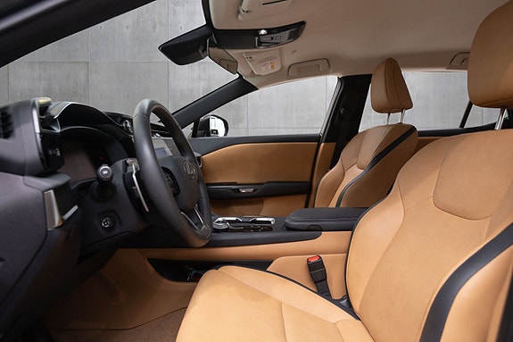 Lexus RZ450e 22 of 30