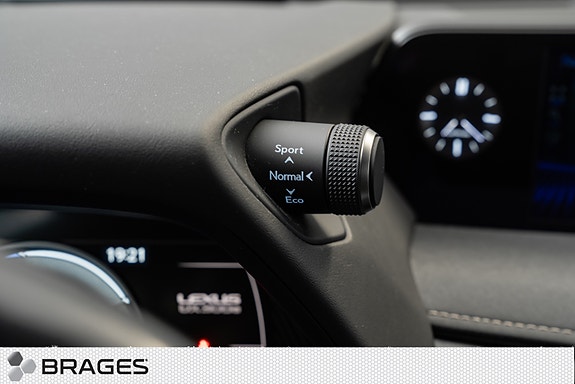 Lexus UX300e 28 of 30