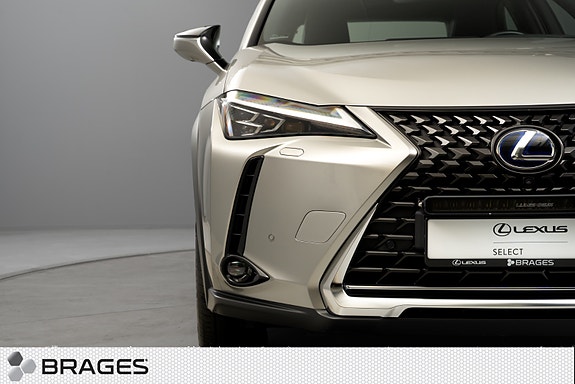 Lexus UX300e 9 of 30