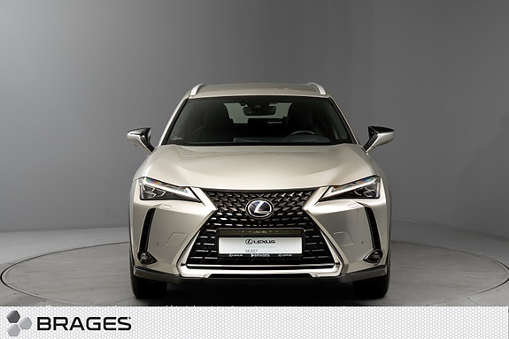 Lexus UX300e 6 of 30