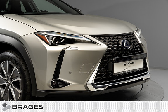 Lexus UX300e 10 of 30