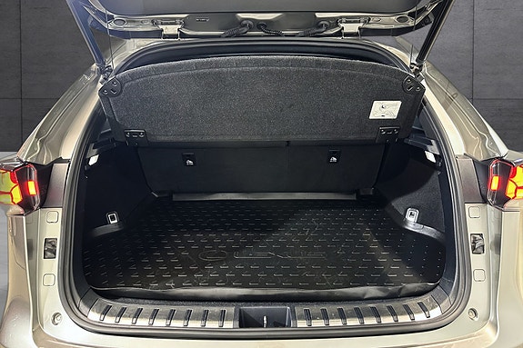 Lexus NX300h 10 of 21