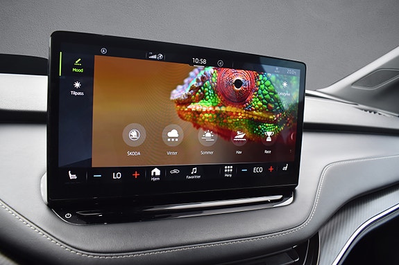 Skoda Enyaq Coupe RS 19 of 30
