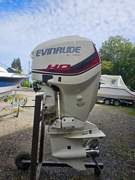 Evinrude Etec 115HO L stamme 4 of 5