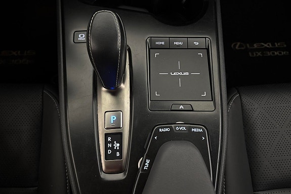 Lexus UX300e 19 of 28