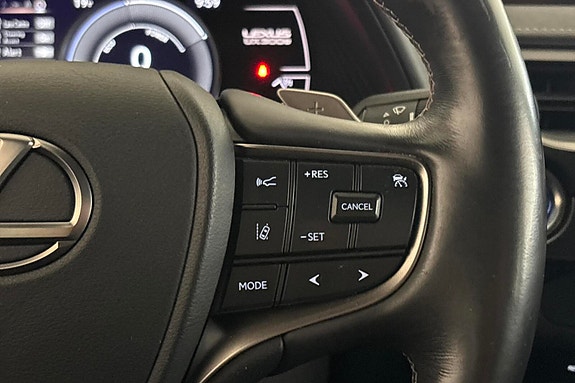 Lexus UX300e 14 of 28