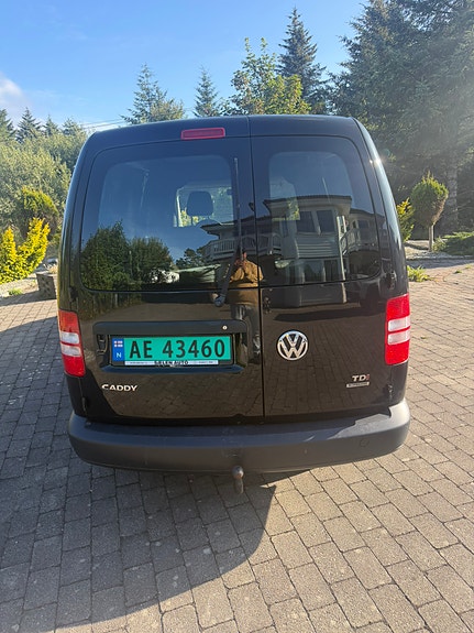 Volkswagen Caddy Maxi 6 of 14