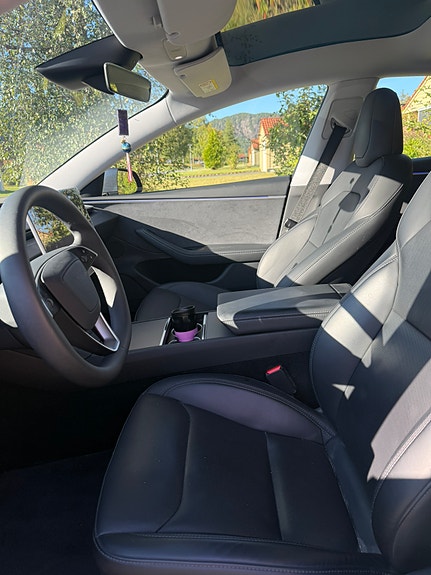 Tesla Model 3 19 of 21