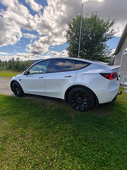 Tesla Model Y 3 of 19