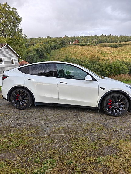 Tesla Model Y 9 of 19